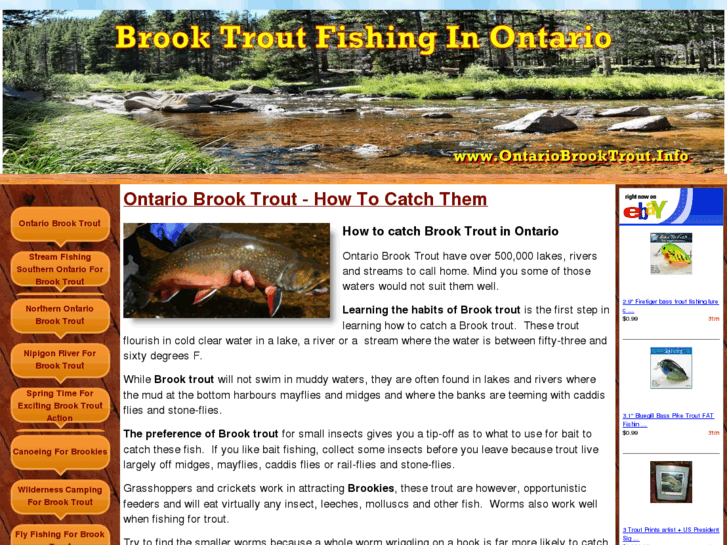 www.ontariobrooktrout.info