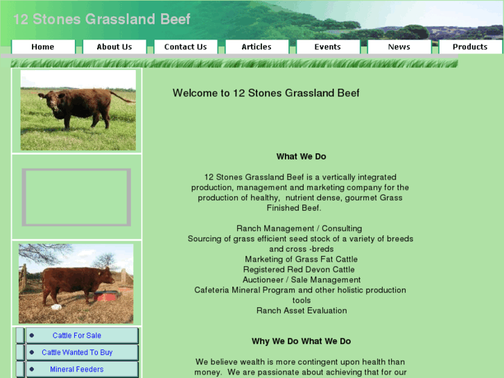 www.12stonesgrasslandbeef.com