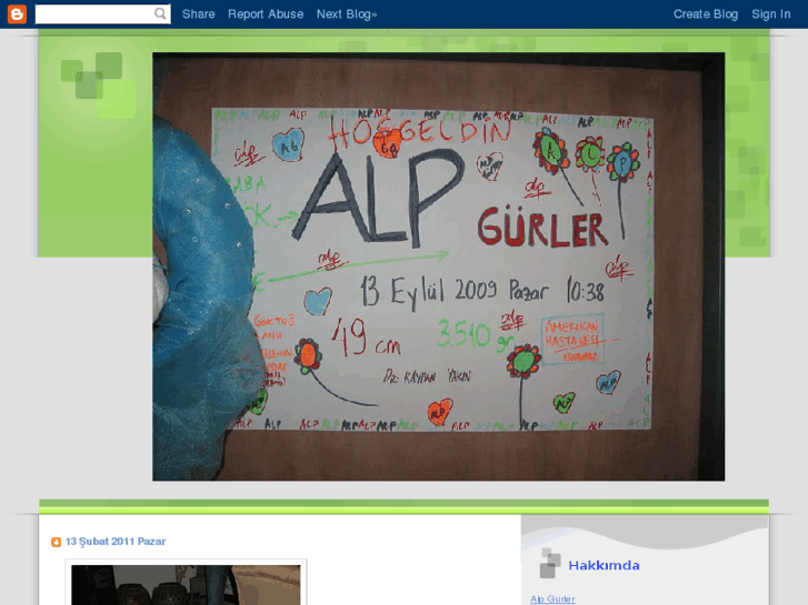 www.alpgurler.com