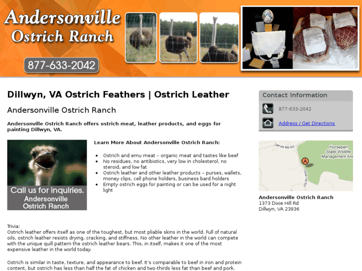 www.andersonvilleostrichranch1.com