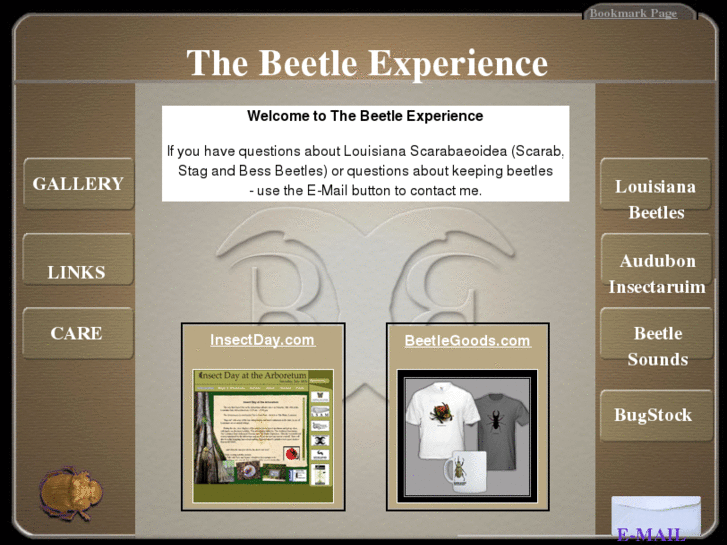 www.beetle-experience.com