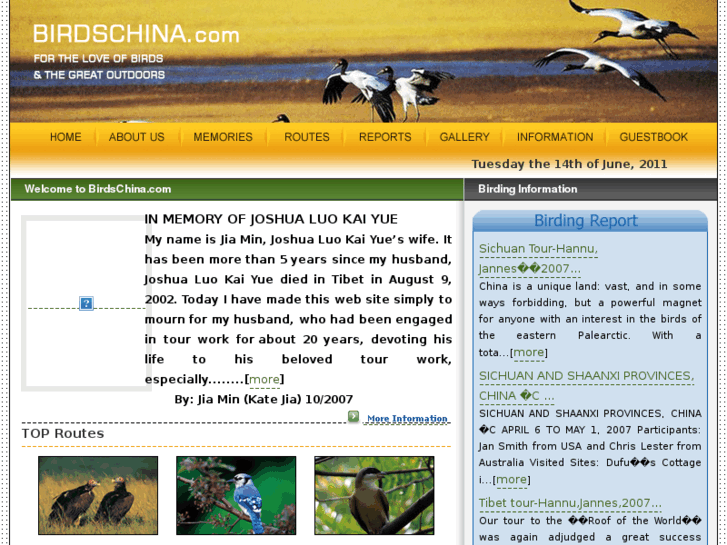 www.birdchina.com