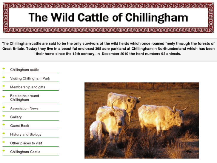 www.chillinghamwildcattle.com