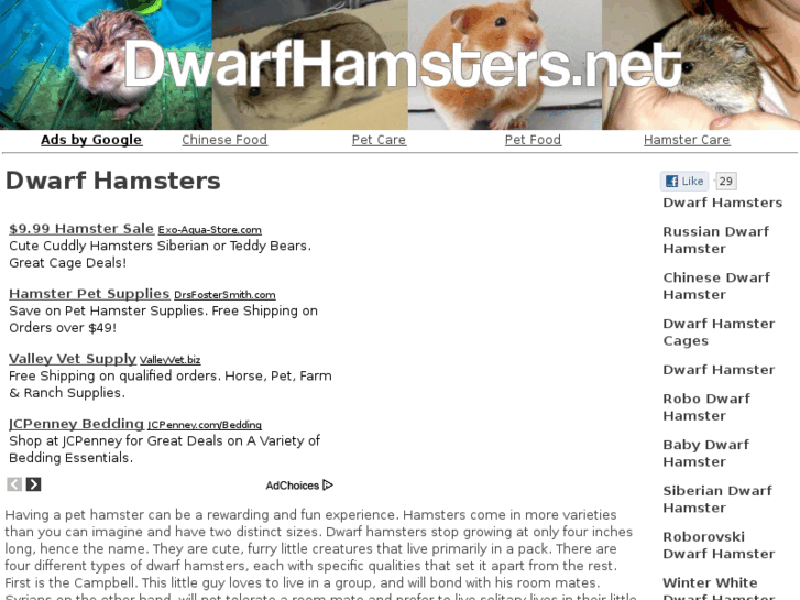 www.dwarfhamsters.net