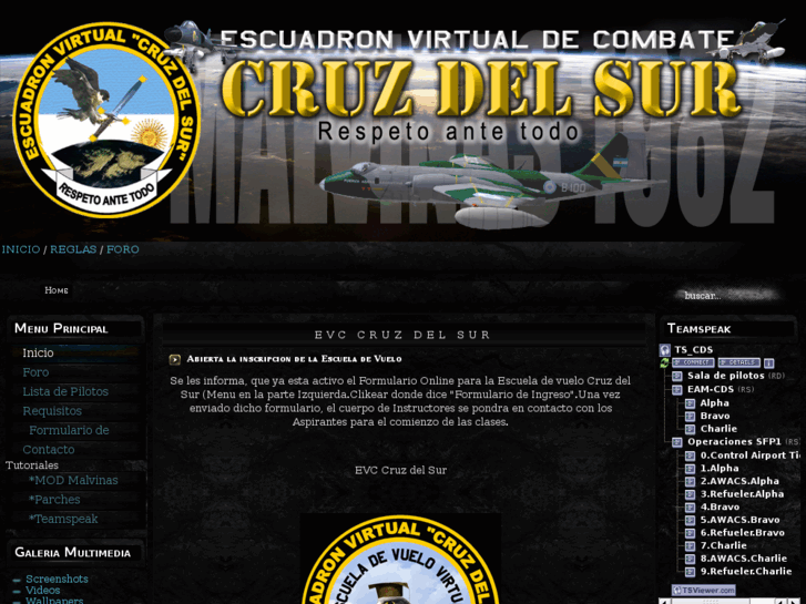 www.escuadroncruzdelsur.com