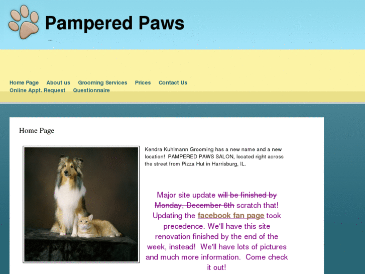 www.pamperedpawsalon.com