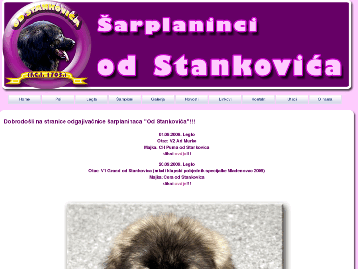 www.sarplaninci-od-stankovica.com
