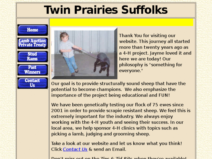 www.twinprairiessuffolks.com