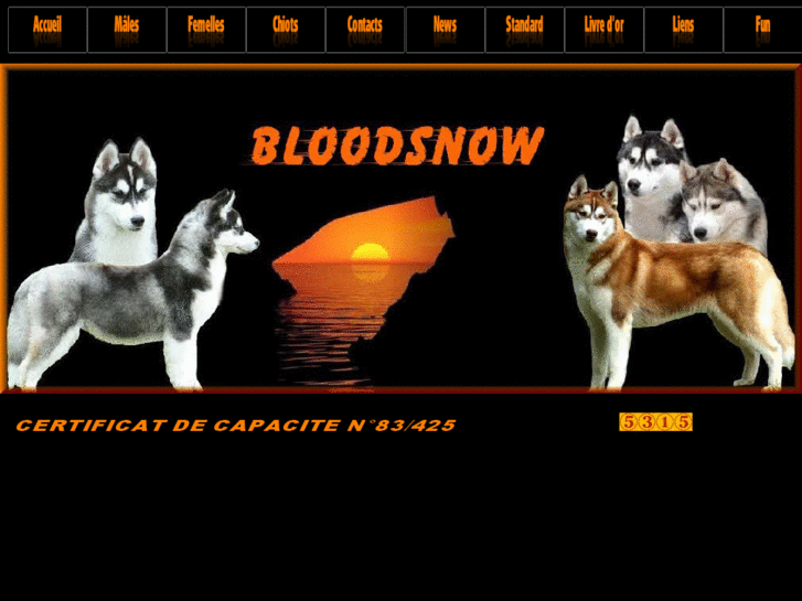 www.bloodsnow.fr