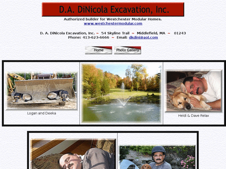 www.dinicolaexcavation.com