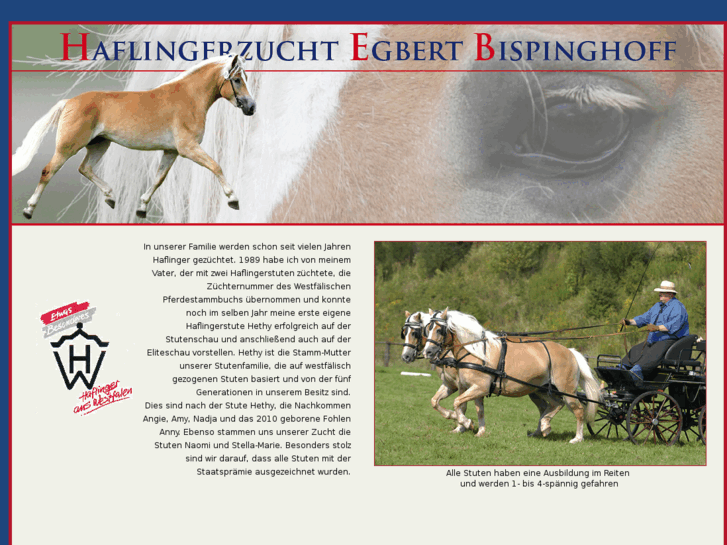 www.haflinger-bispinghoff.de