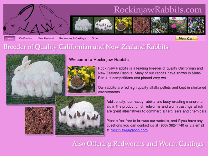 www.rockinjawrabbits.com