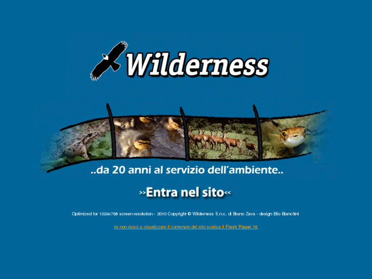 www.wildernessbz.com