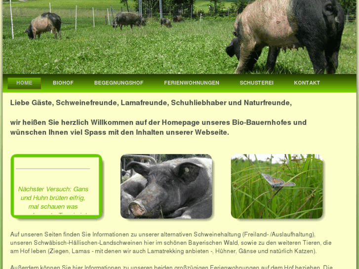 www.xn--die-glcklichen-schweine-hpc.com