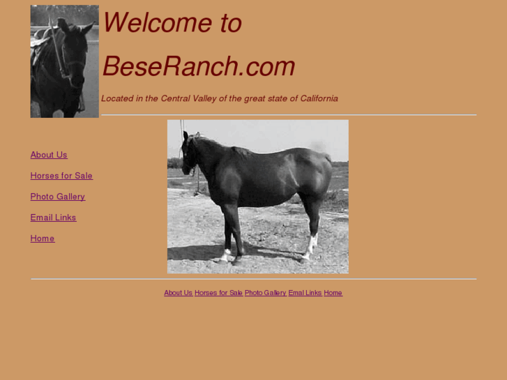 www.beseranch.com