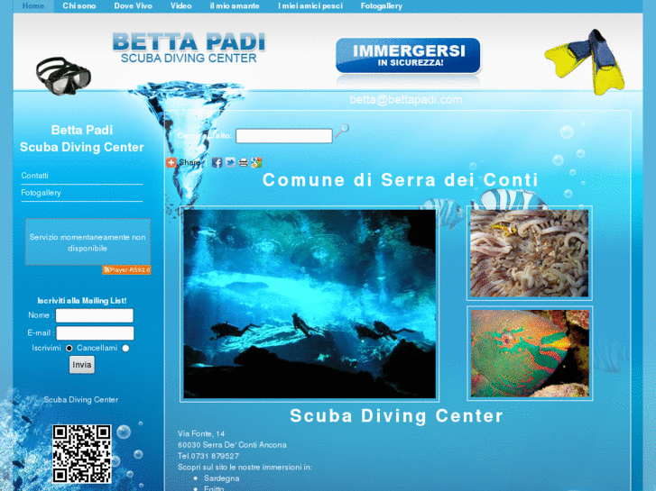 www.bettapadi.com