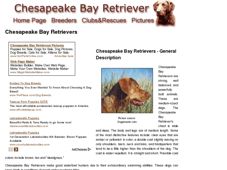 www.chesapeake-bay-retriever-dogs.com