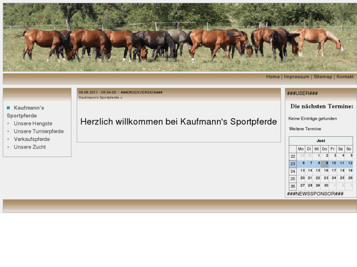 www.kaufmann-sportpferde.com