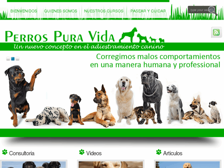 www.perrospuravida.com