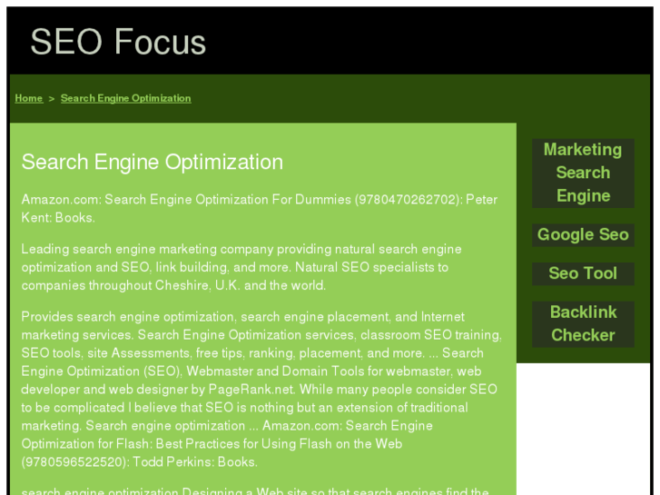 www.seo-focus.info