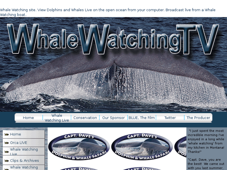 www.whalewatchingtv.com