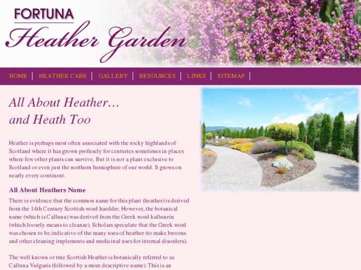 www.all-about-heather.com