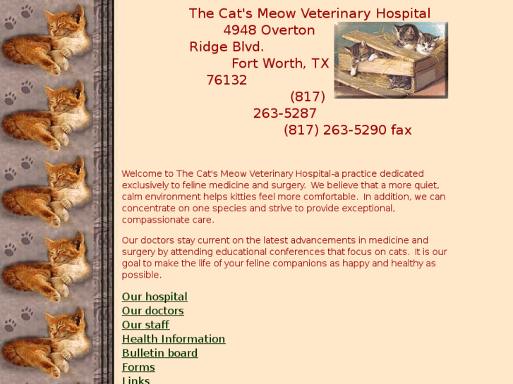 www.catsmeowvets.com