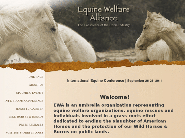 www.equinewelfarealliance.org