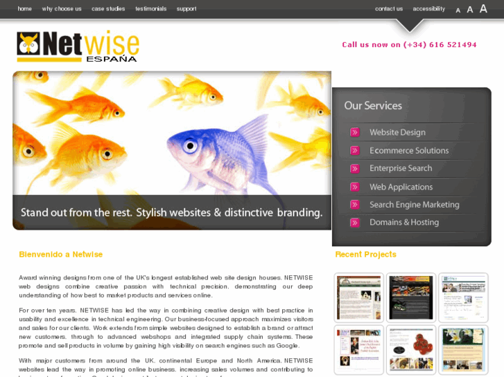 www.netwise.es