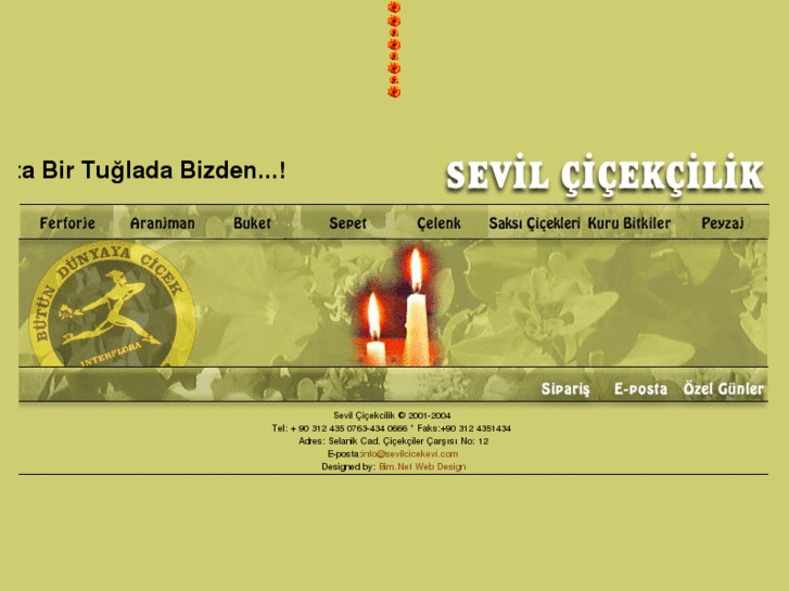 www.sevilcicekevi.com