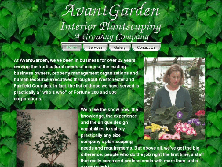 www.avantgardenct.com