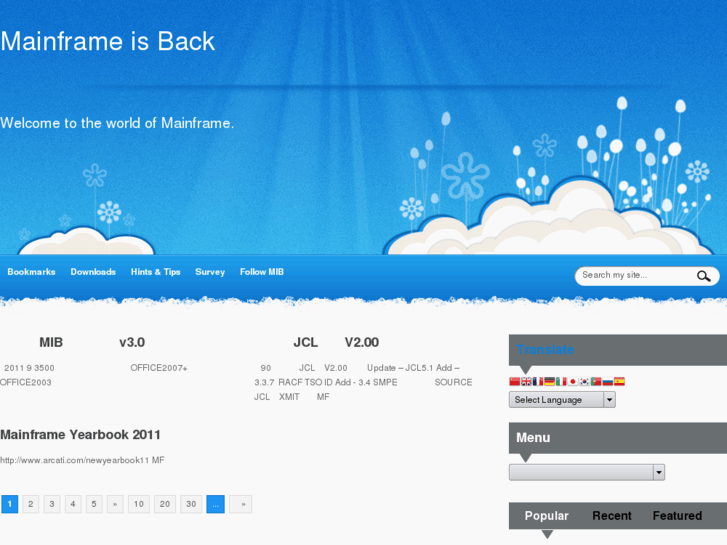 www.ibmmainframe.cn