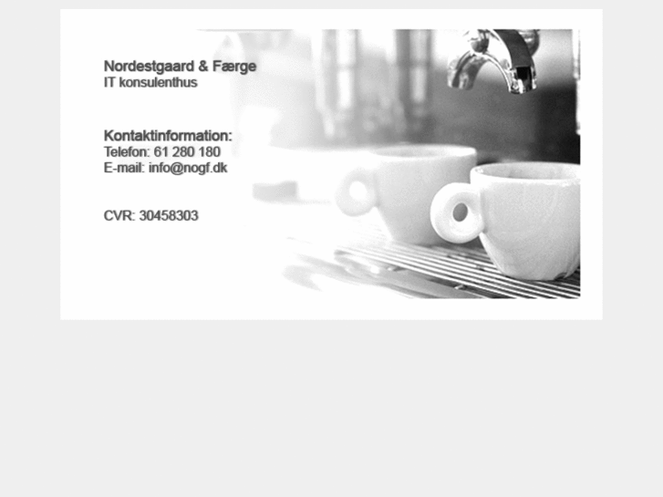 www.idea-bridge.dk