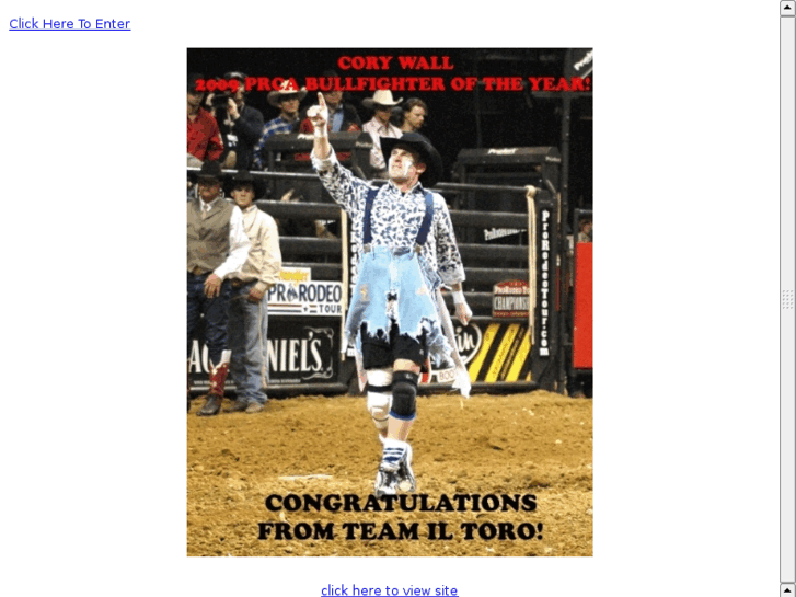www.iltoro.net