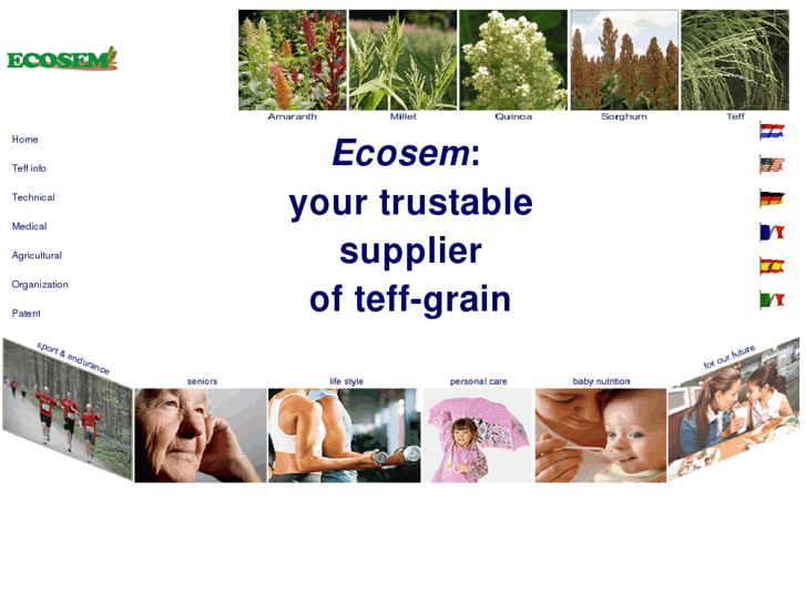 www.teff-grain.com