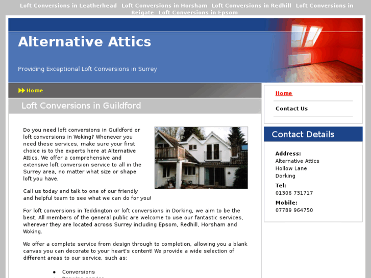 www.alternativeattics.com