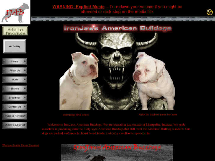 www.ironjawsamericanbulldogs.net