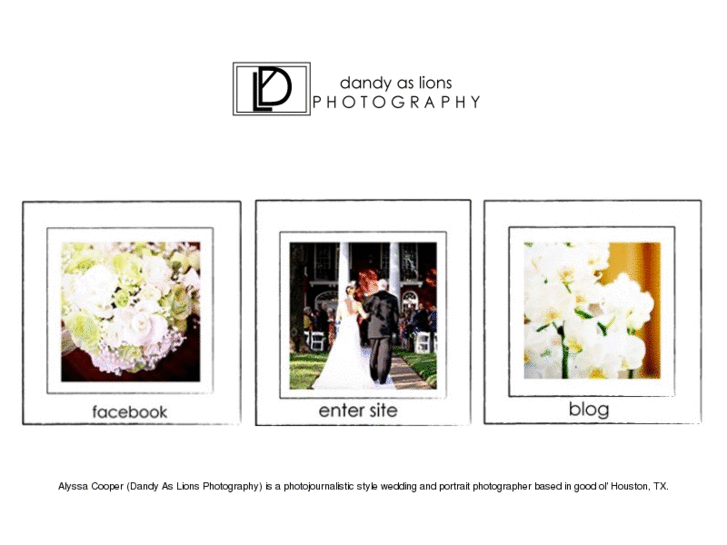 www.dandyaslionsphoto.com