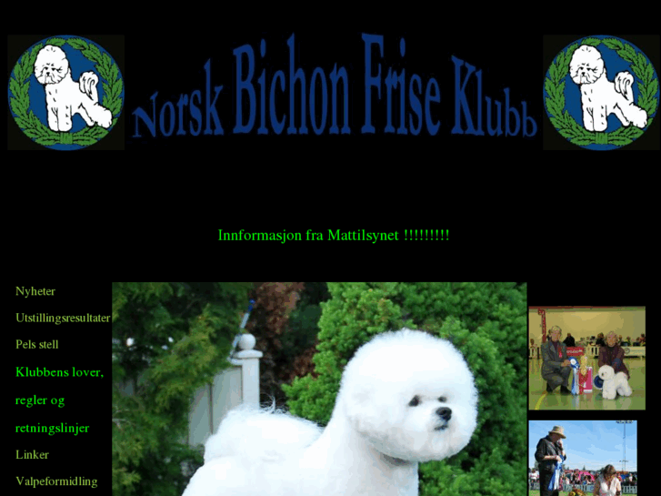 www.norskbichonfriseklubb.com