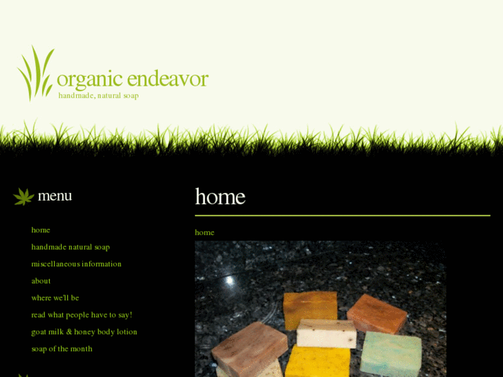 www.organicendeavor.com