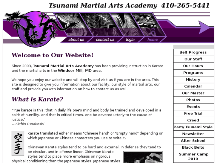 www.tsunamimartialarts.net