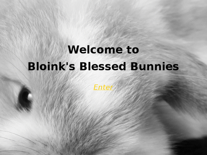 www.bloinksblessedbunnies.com