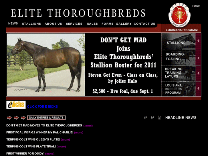 www.elitethoroughbreds.com