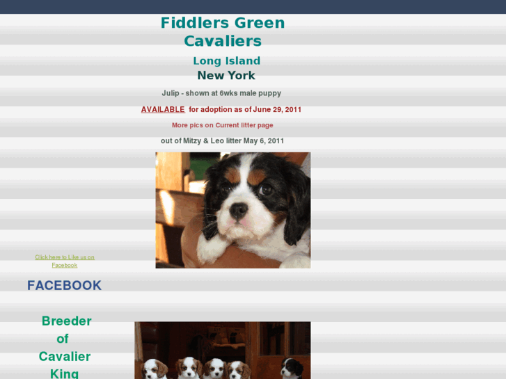 www.fiddlersgreencavaliers.com