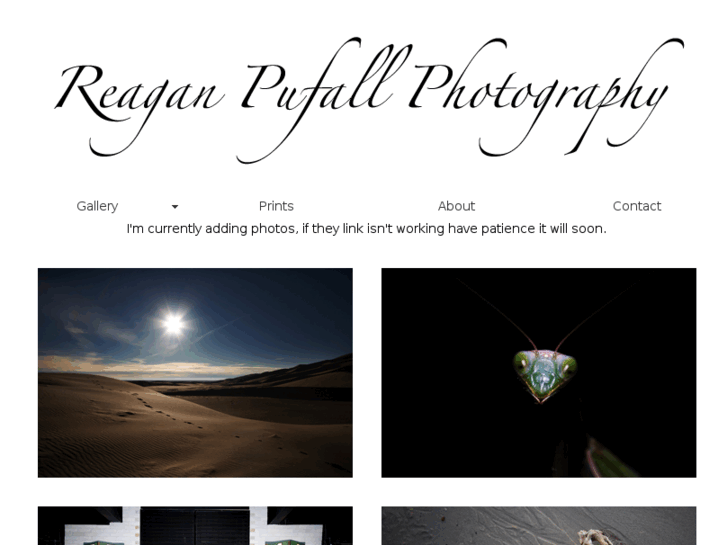 www.rdpufallphotography.com