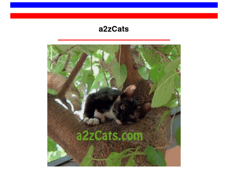 www.a2zcats.com
