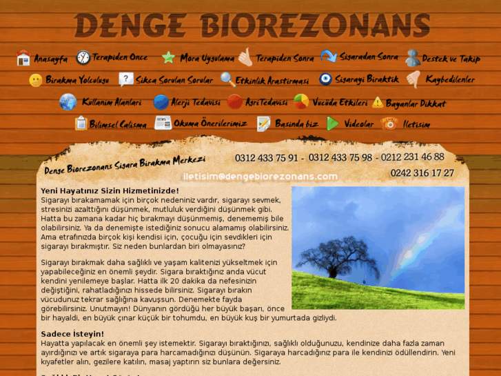 www.dengebiorezonans.com