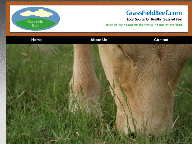 www.grassfieldbeef.com