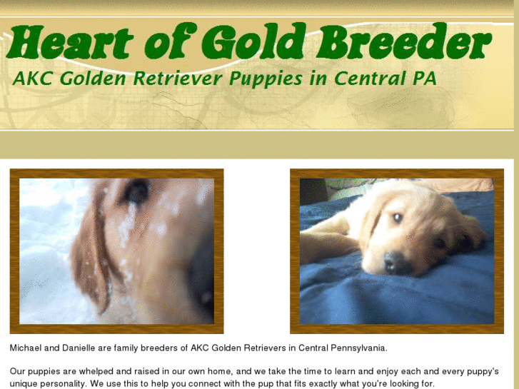 www.heartofgoldbreeder.com