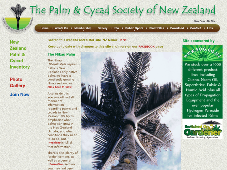 www.nzpalmandcycad.com